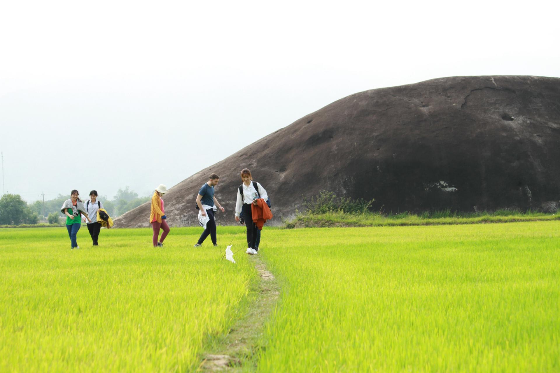 Du khách tham quan cánh đồng lúa nước tại xã Yang Tao, huyện Lắk (nguồn Internet)